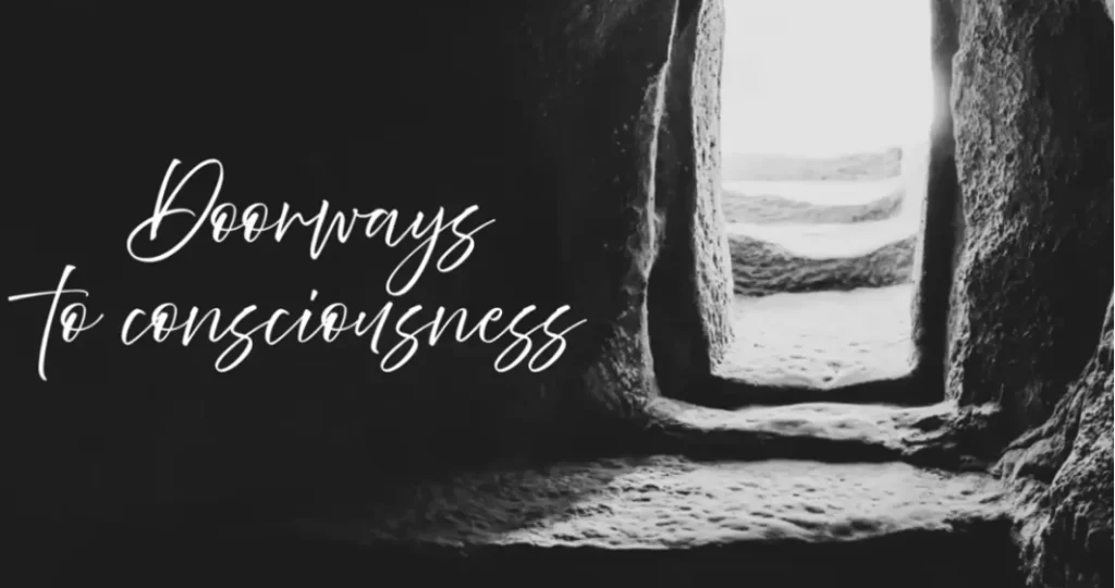 Photo by Veda Austin